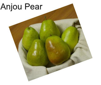 Anjou Pear