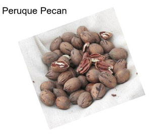 Peruque Pecan