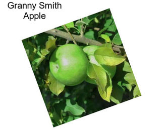 Granny Smith Apple