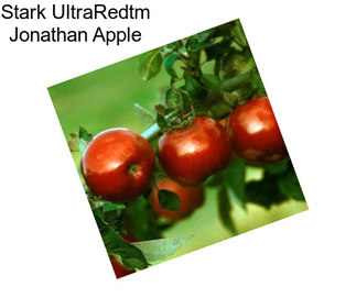 Stark UltraRedtm Jonathan Apple