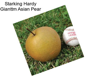 Starking Hardy Gianttm Asian Pear