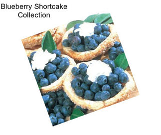 Blueberry Shortcake Collection