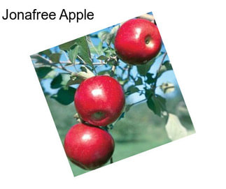 Jonafree Apple