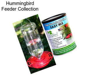 Hummingbird Feeder Collection
