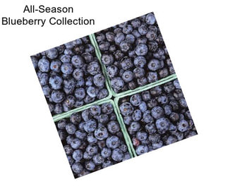 All-Season Blueberry Collection