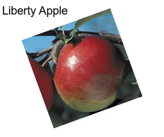 Liberty Apple