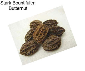 Stark Bountifultm Butternut