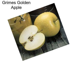 Grimes Golden Apple