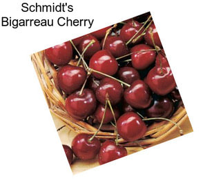 Schmidt\'s Bigarreau Cherry