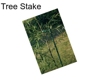 Tree Stake