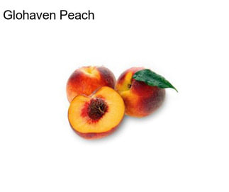 Glohaven Peach