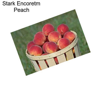 Stark Encoretm Peach