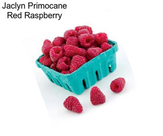 Jaclyn Primocane Red Raspberry