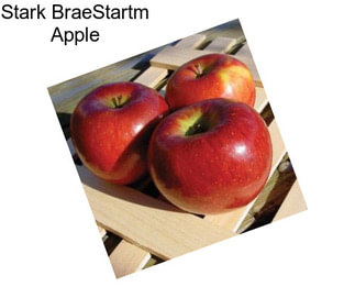 Stark BraeStartm Apple