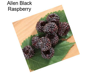 Allen Black Raspberry
