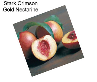 Stark Crimson Gold Nectarine