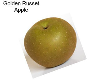 Golden Russet Apple