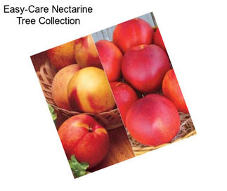 Easy-Care Nectarine Tree Collection