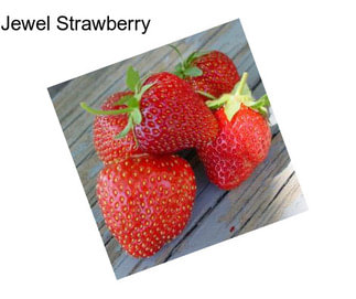 Jewel Strawberry