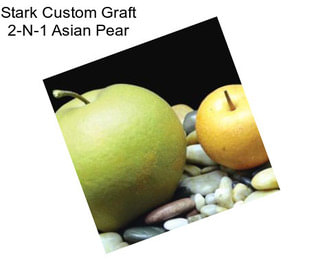 Stark Custom Graft 2-N-1 Asian Pear