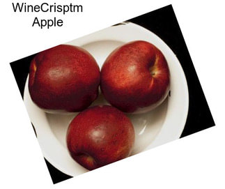 WineCrisptm Apple