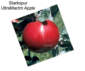 Starkspur UltraMactm Apple