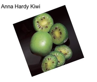 Anna Hardy Kiwi