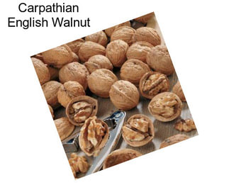 Carpathian English Walnut