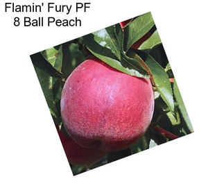 Flamin\' Fury PF 8 Ball Peach