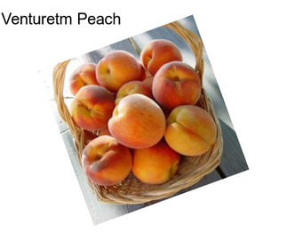 Venturetm Peach