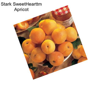 Stark SweetHearttm Apricot