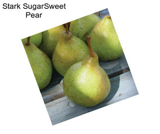 Stark SugarSweet Pear