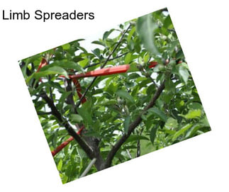 Limb Spreaders