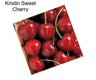 Kristin Sweet Cherry