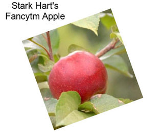 Stark Hart\'s Fancytm Apple