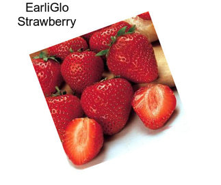 EarliGlo Strawberry