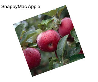 SnappyMac Apple