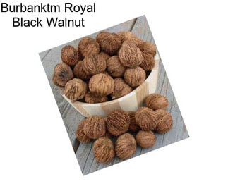 Burbanktm Royal Black Walnut