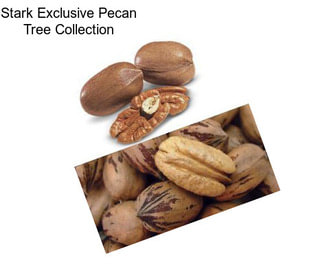 Stark Exclusive Pecan Tree Collection