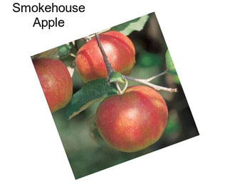 Smokehouse Apple