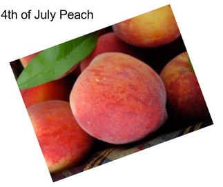 4th of July Peach