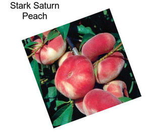 Stark Saturn Peach