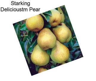 Starking Delicioustm Pear
