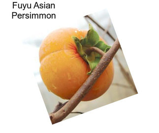 Fuyu Asian Persimmon