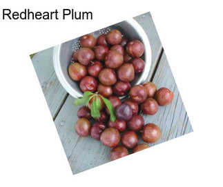 Redheart Plum