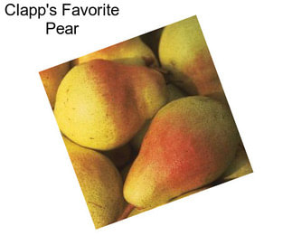 Clapp\'s Favorite Pear