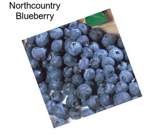 Northcountry Blueberry