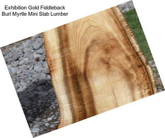 Exhibition Gold Fiddleback Burl Myrtle Mini Slab Lumber