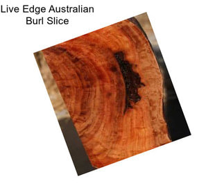 Live Edge Australian Burl Slice