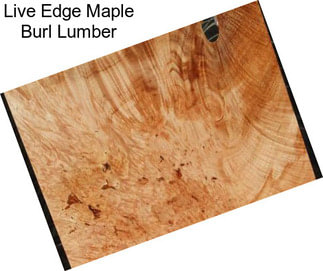 Live Edge Maple Burl Lumber